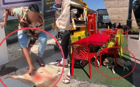 जयपुर एयरपोर्ट पर दहशत: दिल्ली से आई महिला यात्री पर कुत्ते का हमला, टर्मिनल पर मचा हड़कंप